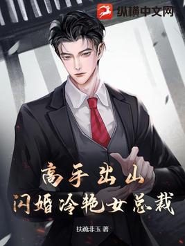 高手出山绝色总裁送上门